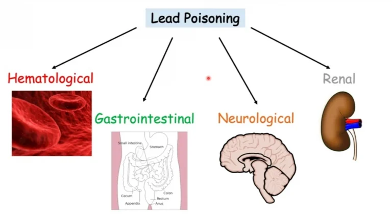 disease caused by lead in human