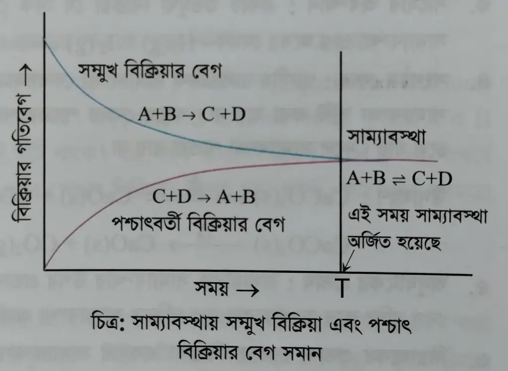 রাসায়নিক সাম্যাবস্থা কি?