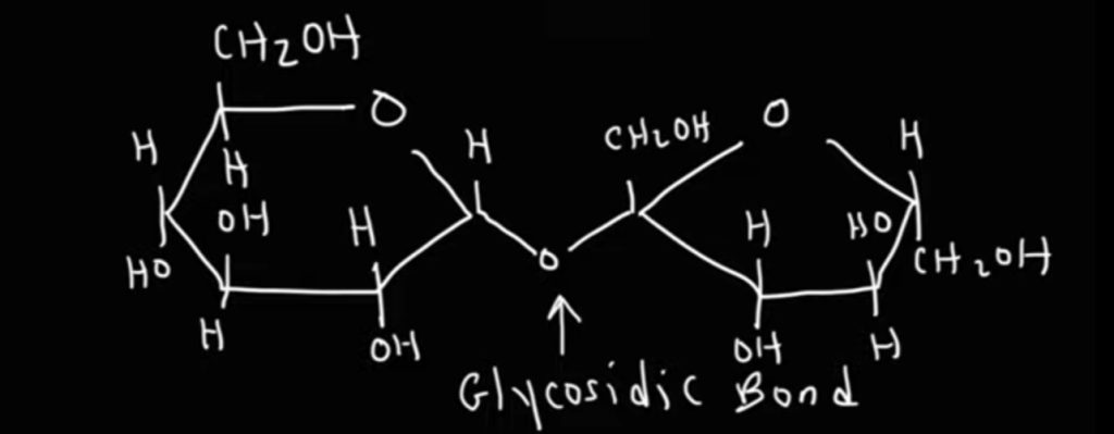 গ্লাইকোসাইড বন্ধন কি?